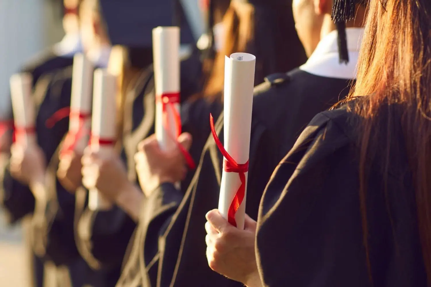corsi di laurea piu richiesti online